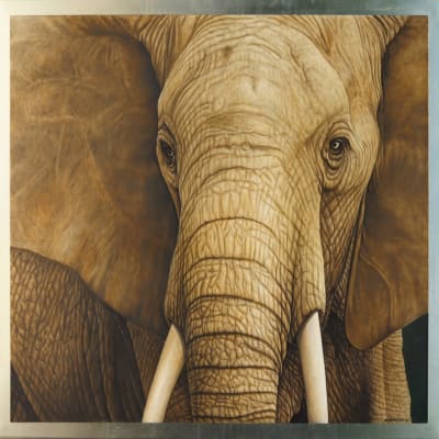 Elefante